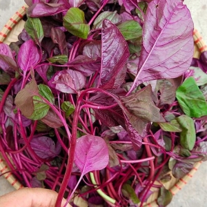 Loại rau giải độc gan ăn nhiều mát ruột đỡ nhiệt miệng lại khỏi táo bón