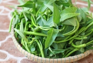 Rau giàu canxi hơn sữa, ăn thường xuyên giữ dáng, khỏe xương, ít ốm vặt