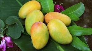 Loại quả giàu dinh dưỡng, ăn đúng cách giúp ngừa K