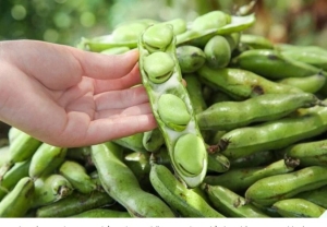 Loại hạt như “viên bổ não” nấu lên ăn ngon hơn thịt, đạm cao gấp 2 lần trứng