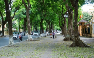 Dự báo thời tiết ngày 15/5/2023: Bắc và Trung Bộ mưa mát trước khi nắng nóng diện rộng