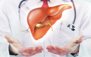 4 vùng trên cơ thể bị đau, cảnh giác bệnh gan 