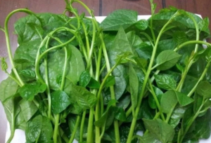 Loại rau giải độc gan cực tốt đang vào mùa, ăn vào đỡ táo bón hết mề đay