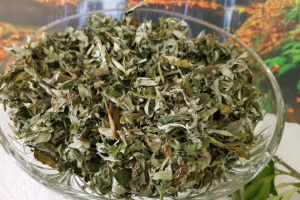 Tác dụng thần kỳ của ngải cứu phơi khô với sức khỏe