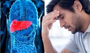 Dấu hiệu cảnh báo gan bị tổn thương