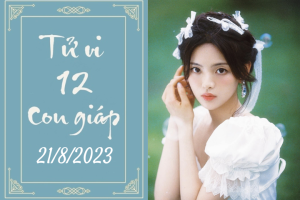 Tử vi 12 con giáp hôm nay ngày 21/8/2023: Tuổi Ngọ thu nhập tăng nhanh