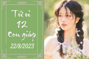 Tử vi ngày 22/8/2023 của 12 con giáp: Tuổi Mão mở rộng mối quan hệ