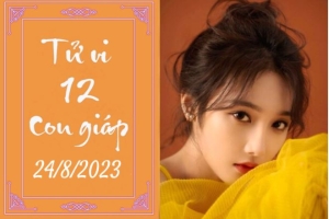 Tử vi 12 con giáp ngày 24/8/2023: Tuổi Ngọ tràn đầy năng lượng, tuổi Dậu được tin tưởng