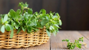 Loại “rau trường thọ” hàm lượng axit folic gấp 46 lần dưa chuột