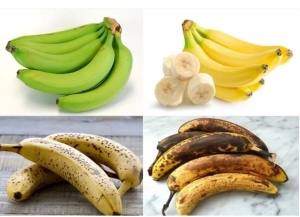 Giảm cân bằng chuối thì nên chọn chuối tây hay chuối tiêu, chuối xanh hay chín?