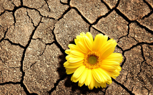 Nguyên nhân gây khô âm đạo và cách cải thiện