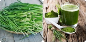 Loại rau mọc như cỏ dại nhưng “bổ hơn thịt, rẻ hơn thuốc” tốt cho sức khỏe