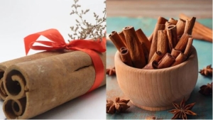 Vỏ 1 loại cây là thuốc chống K tự nhiên, 