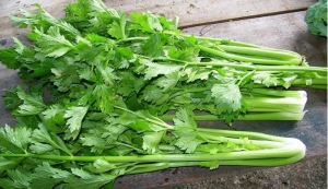 Loại rau là “khắc tinh” của ung thư nấu đúng cách để vừa ngon vừa bổ