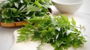 Vào chu kỳ kinh nguyệt cứ uống một nắm lá này là hết đau bụng, lại thải độc rất tốt