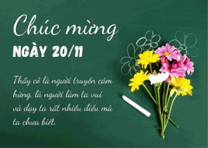 Những lời chúc Ngày Nhà giáo Việt Nam 20/11 hay và ý nghĩa nhất