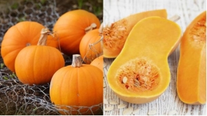 6 lợi ích đáng quý cơ thể nhận được khi ăn bí đỏ