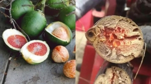 3 loại thực phẩm gây K cực mạnh không được ăn