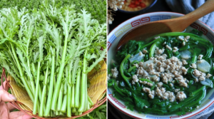Loại rau vừa nhiều vitamin vừa giàu canxi, tốt cho sức khoẻ