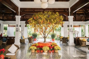 The Anam giới thiệu chương trình đón Tết Giáp Thìn tại Cam Ranh và Mũi Né