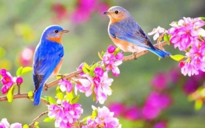 Những điều kiêng kỵ và nên làm trong ngày lập xuân