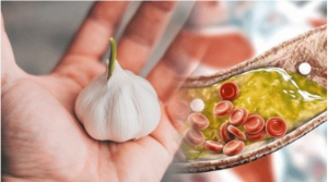 Nên ăn thường xuyên 8 thực phẩm tự nhiên giúp  phòng bệnh giảm mỡ máu.