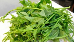 Những lợi ích về sức khỏe mà rau khoai lang mang lại