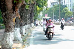 Dự báo thời tiết ngày 12/3/2024: Miền Bắc ấm lên, Nam Bộ nắng nóng