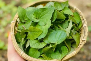 Tăng cường chức năng gan chỉ với món ăn dễ làm