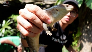 YouTuber đam mê nuôi rắn 15 năm, sở hữu kênh về bò sát hơn 406 triệu view