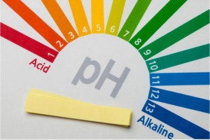 4 biện pháp tự nhiên giúp cân bằng pH âm đạo