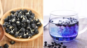 Uống nước hắc kỷ tử có tác dụng gì?