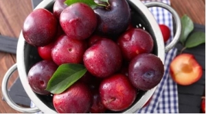 Loại quả chua ngọt vừa ngon miệng vừa chống K