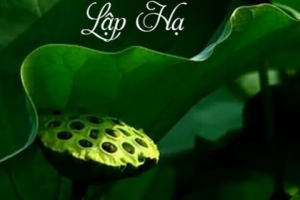 Lập hạ vào ngày nào?