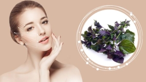 Công thức điều trị tàn nhang bằng lá tía tô 