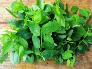 Loại rau ngon - bổ - rẻ mùa hè giúp tăng cường miễn dịch, hạ đường huyết, sáng mắt