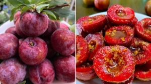 Những lưu ý khi ăn để vừa ngon, vừa bổ