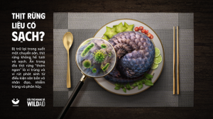 Chiến dịch Thịt rừng Sạch - Sành - “Xanh”?