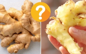 Ăn gừng nên gọt vỏ hay để nguyên là tốt nhất?