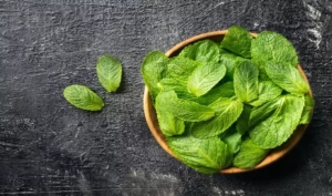 Công thức mặt nạ từ lá bạc hà giúp loại bỏ mụn, se khít lỗ chân lông