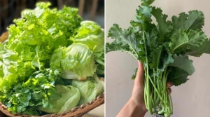 Loại rau bổ dưỡng giúp điều hoà đường huyết, giảm mỡ bụng