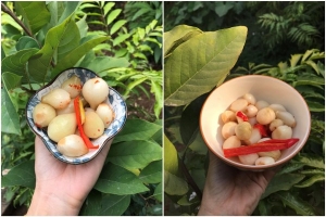 Thực đơn hàng ngày: Hành muối nước mía