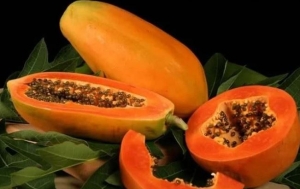 Bí quyết sống khỏe mạnh và phòng ngừa bệnh tật nhờ ăn đu đủ