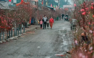 Dự báo thời tiết ngày 29/1/2025: Miền Bắc rét đậm, miền Nam triều cường lên cao