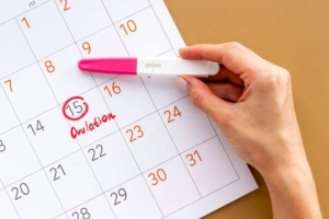 Chị em nên biết về rụng trứng để xác định thời điểm thụ thai tốt nhất