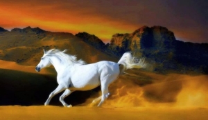 Tử vi tuổi Ngọ năm 2025