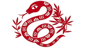 Tử vi tuổi Tỵ năm 2025