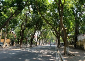 Thời tiết hôm nay ngày 10/2/2025: Bắc Bộ trưa chiều hửng nắng