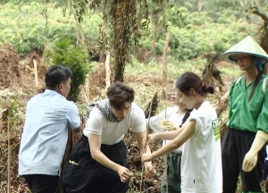 Hoa hậu H'Hen Niê trực tiếp đi trồng cây và đóng góp nhiều ha rừng