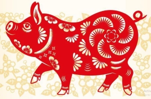 Tử vi 12 con giáp hôm nay 12/2: Sửu may mắn, Mão vất vả